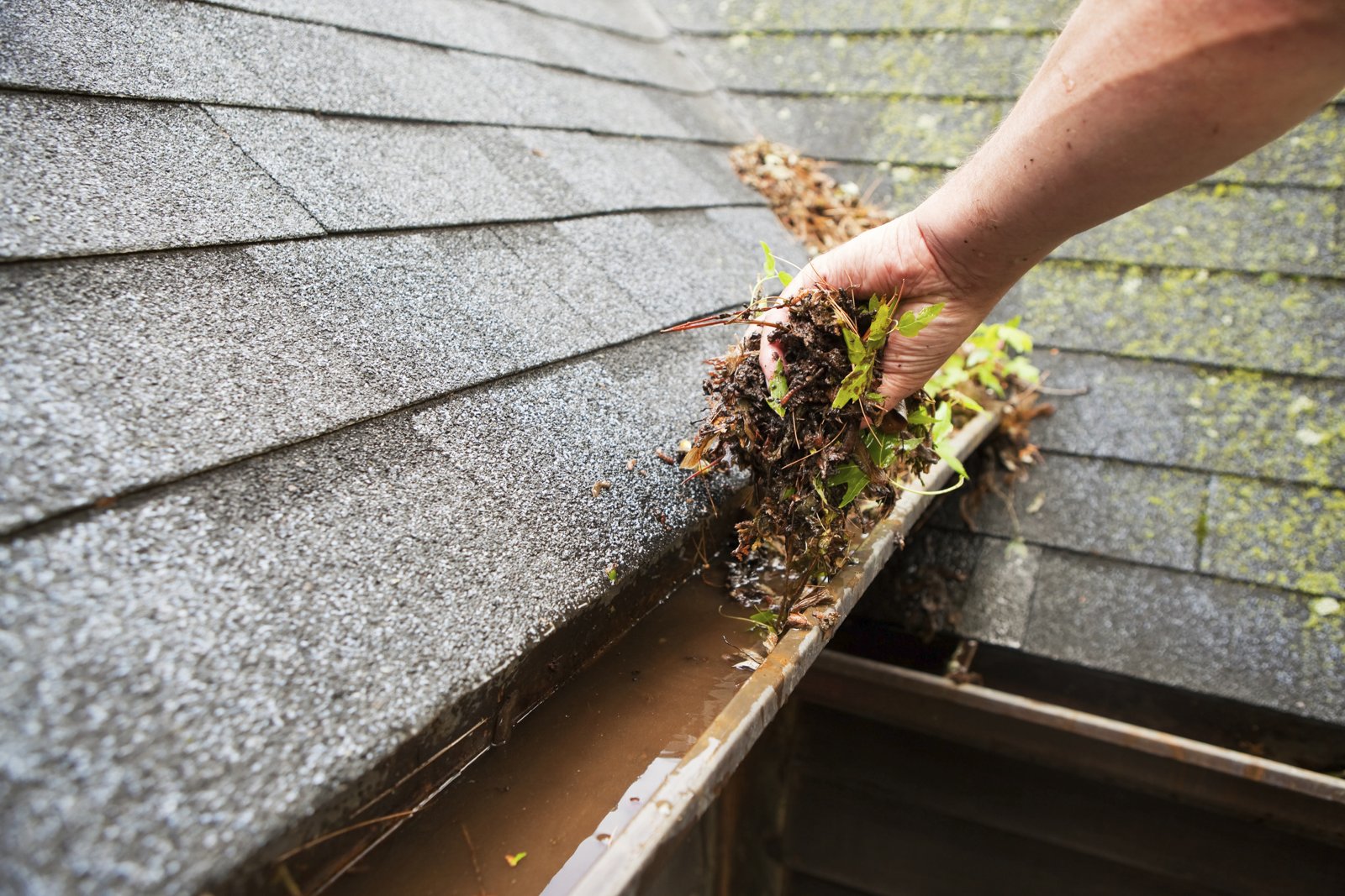 Nettoyage de gouttière
